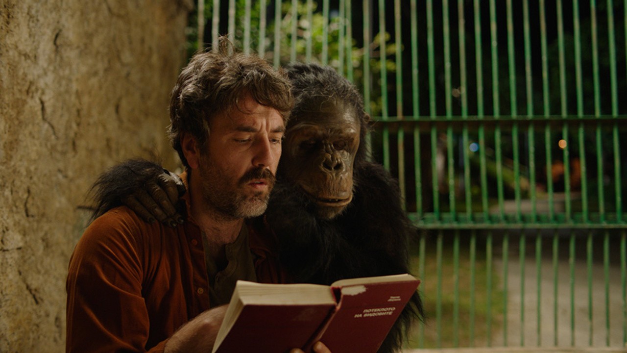 Year of the Monkey