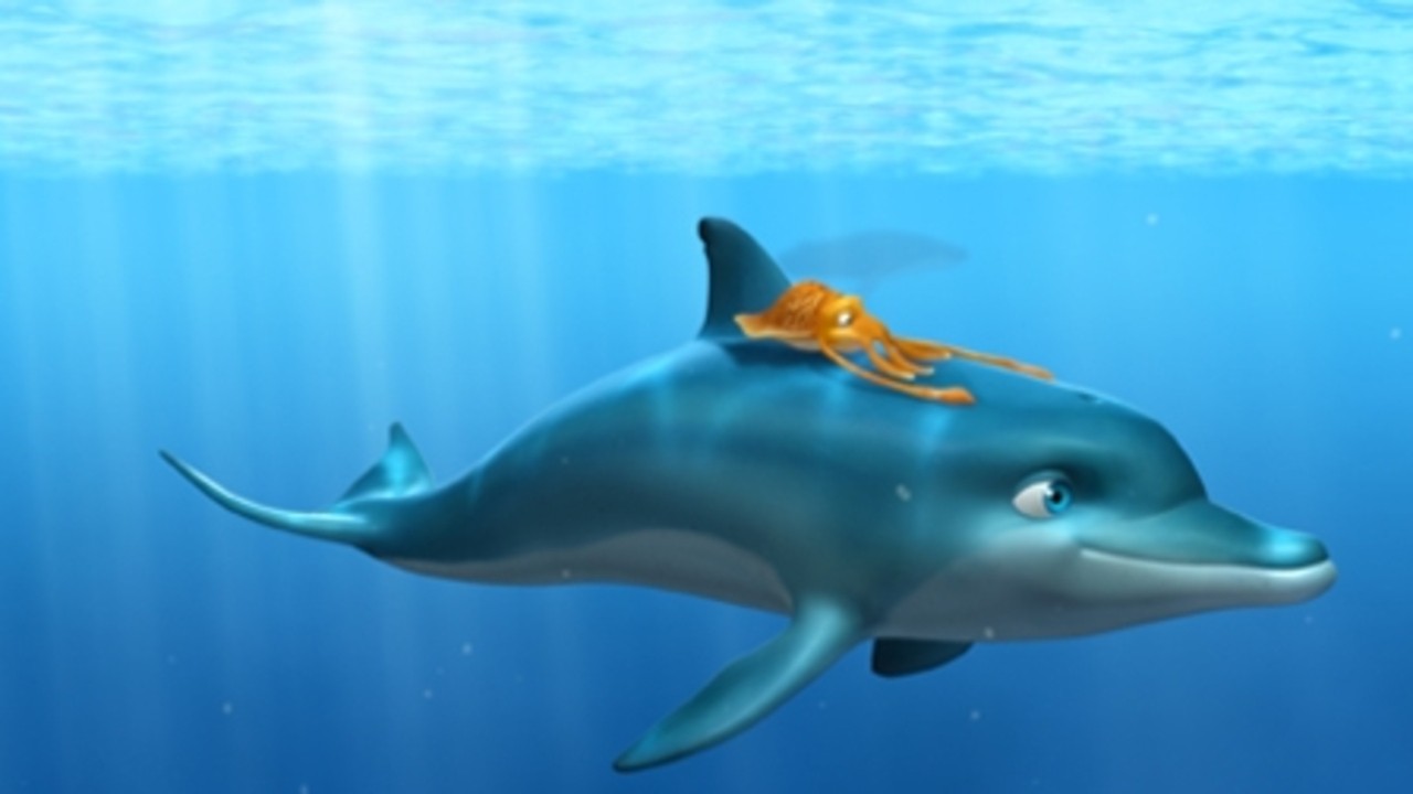The Dolphin The Story Of A Dreamer The Dolphin The Story Of A Dreamer
