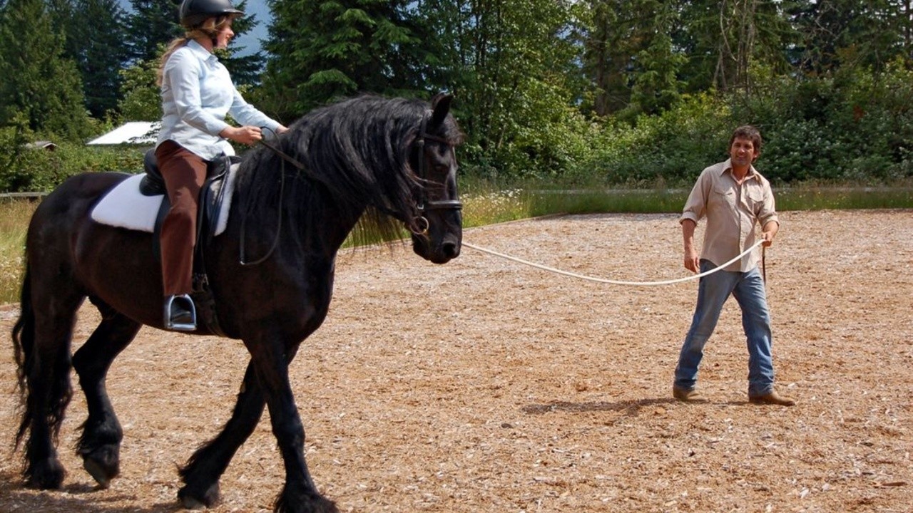 The Dark Horse