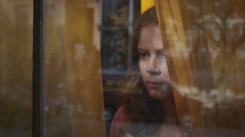 The Woman in the Window