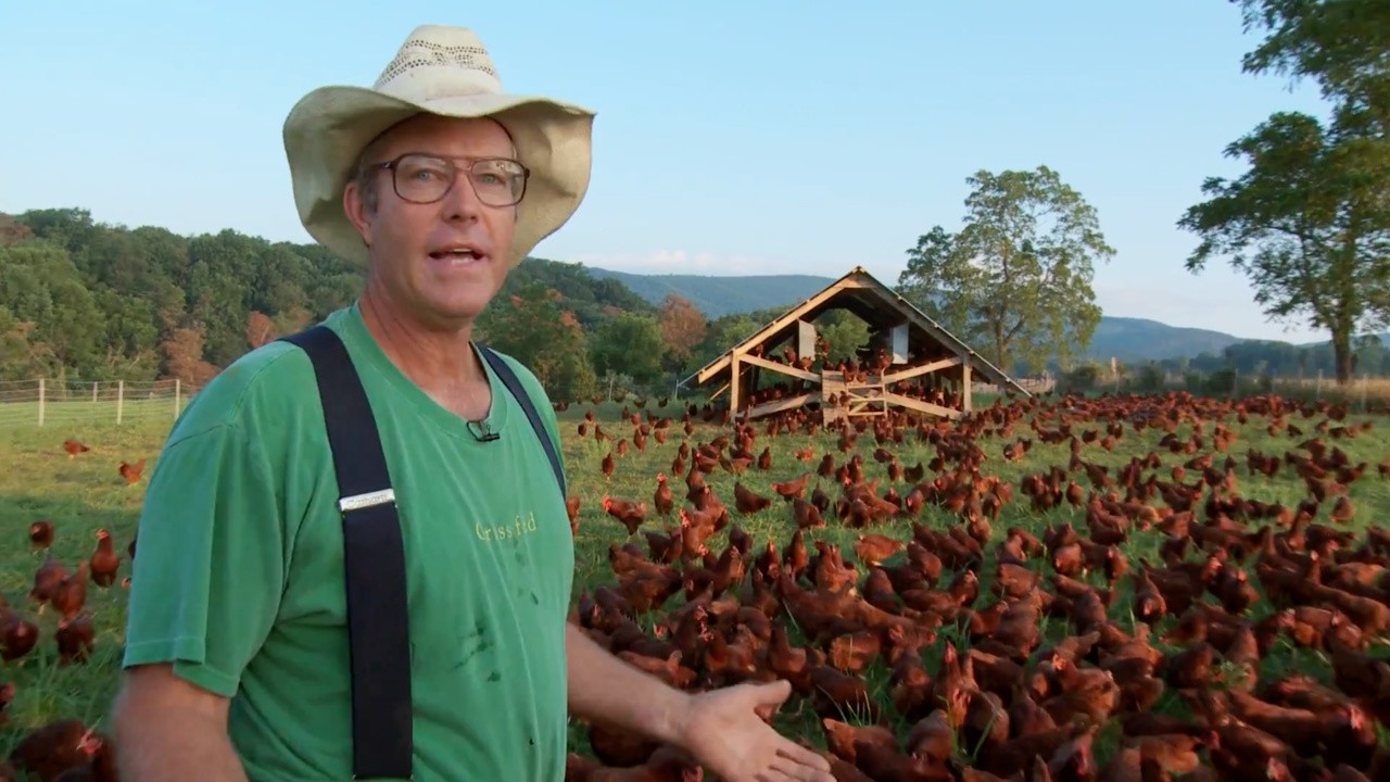 Farmageddon (2011) | MUBI