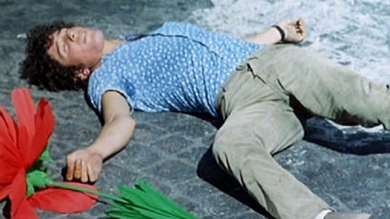 The Paper Flower Sequence