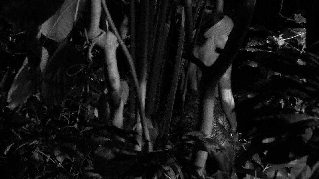 Hortus