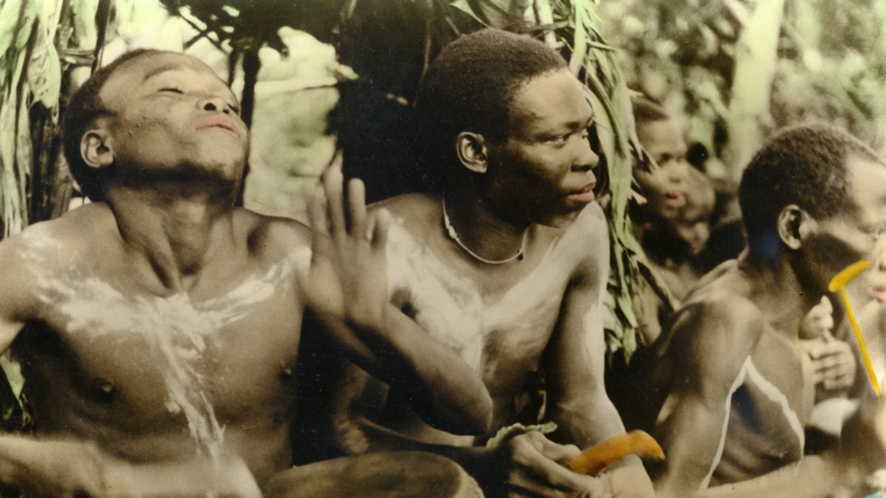 Masters of the Congo Jungle