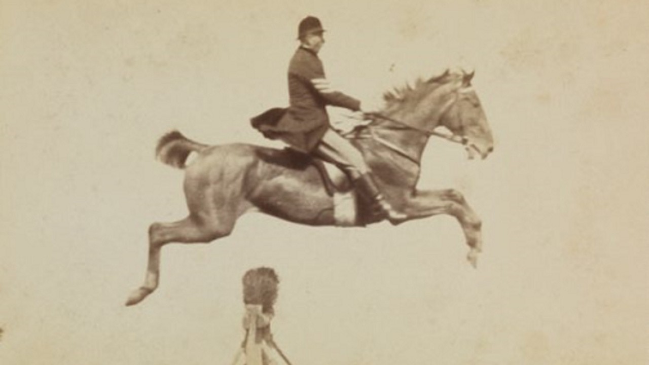 Horse and Rider Jumping Over an Obstacle