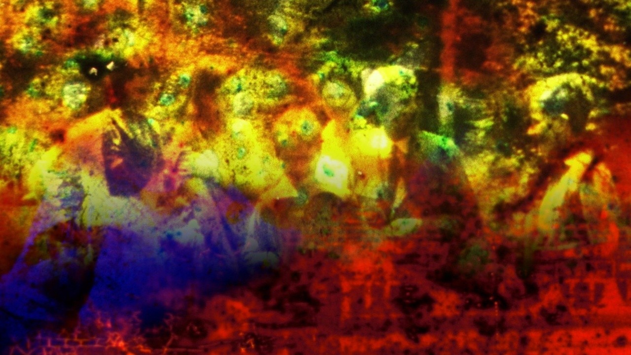 An Afternoon at Oyster Bay (2018) MUBI