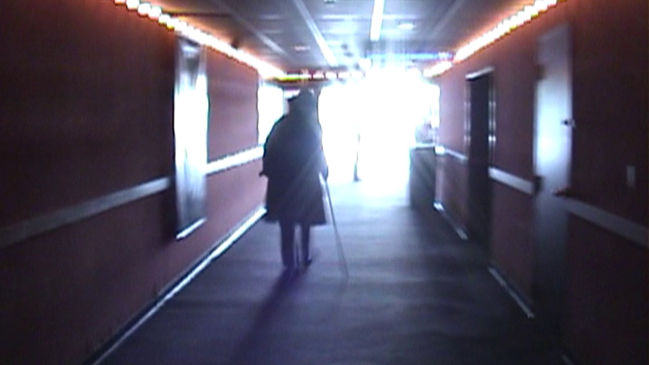Stan Brakhage Exits the Cinema and Enters the Light of Day
