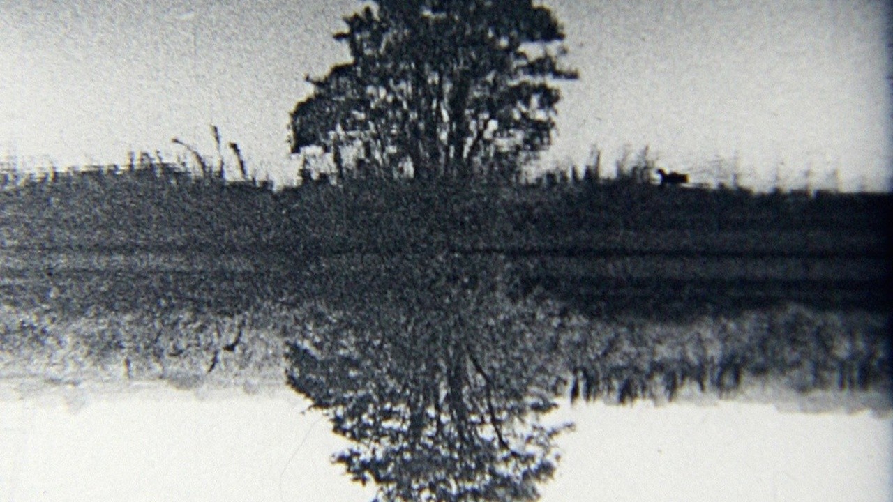 Tree Reflection