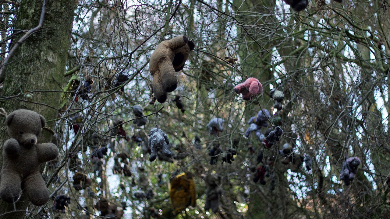 Teddy Bears Picnic