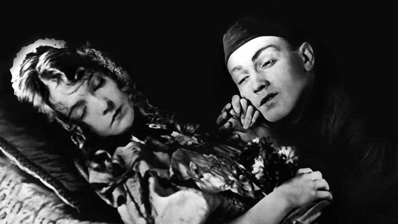 Image du film Le Lys brisé