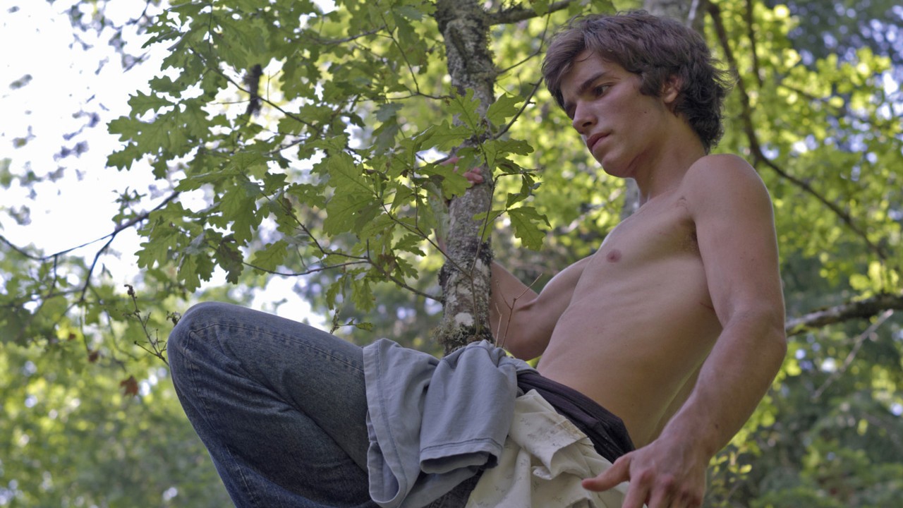 Image du film Ivul