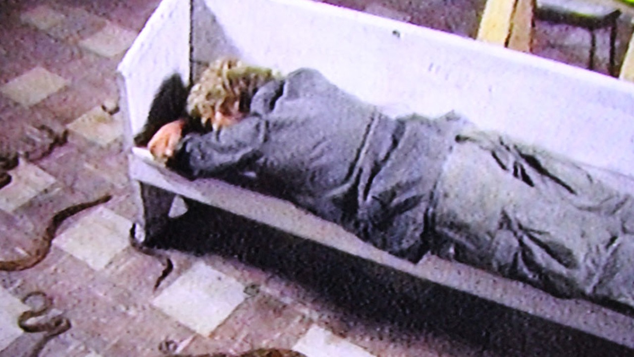 Copperhead The Snake Movie (1983) MUBI