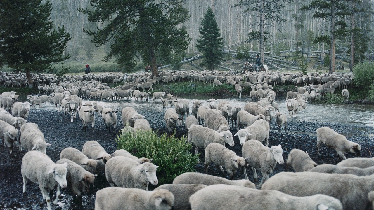 Image du film Sweetgrass
