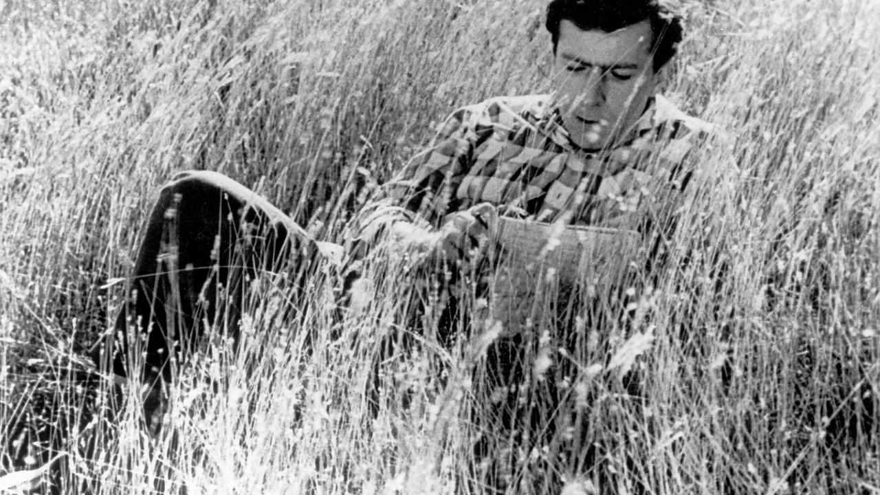 Image du film Il etait une fois un merle chanteur
