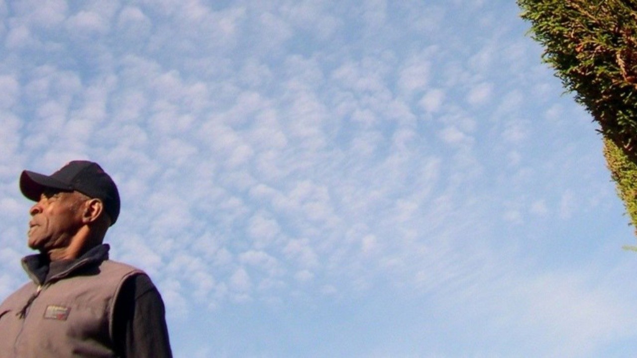 A man named pearl 2006 mubi