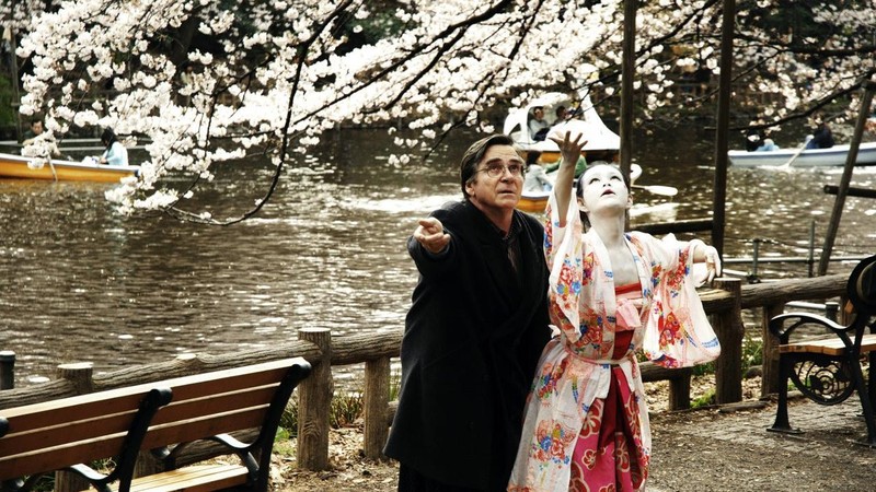 Cherry Blossoms