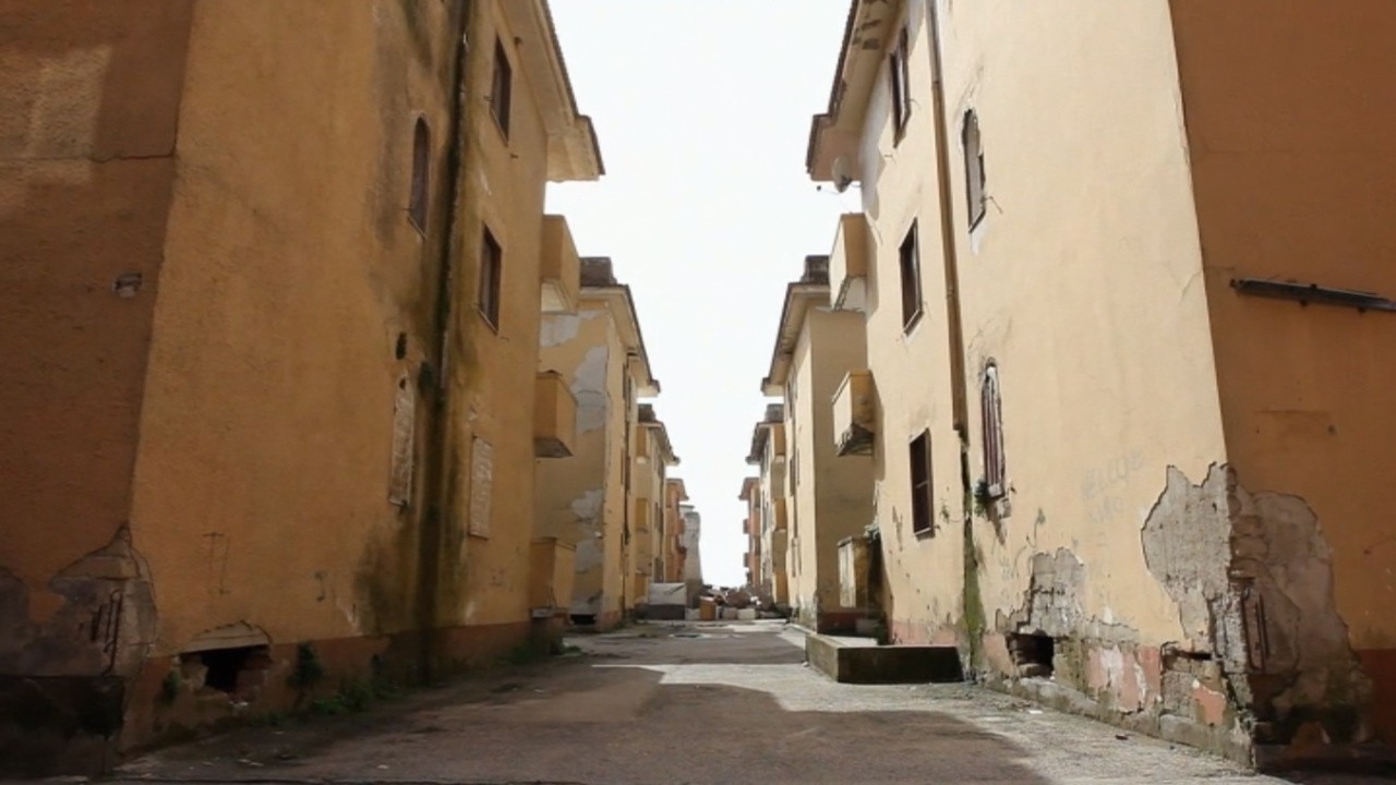 Ritratti Abusivi (2013) | MUBI