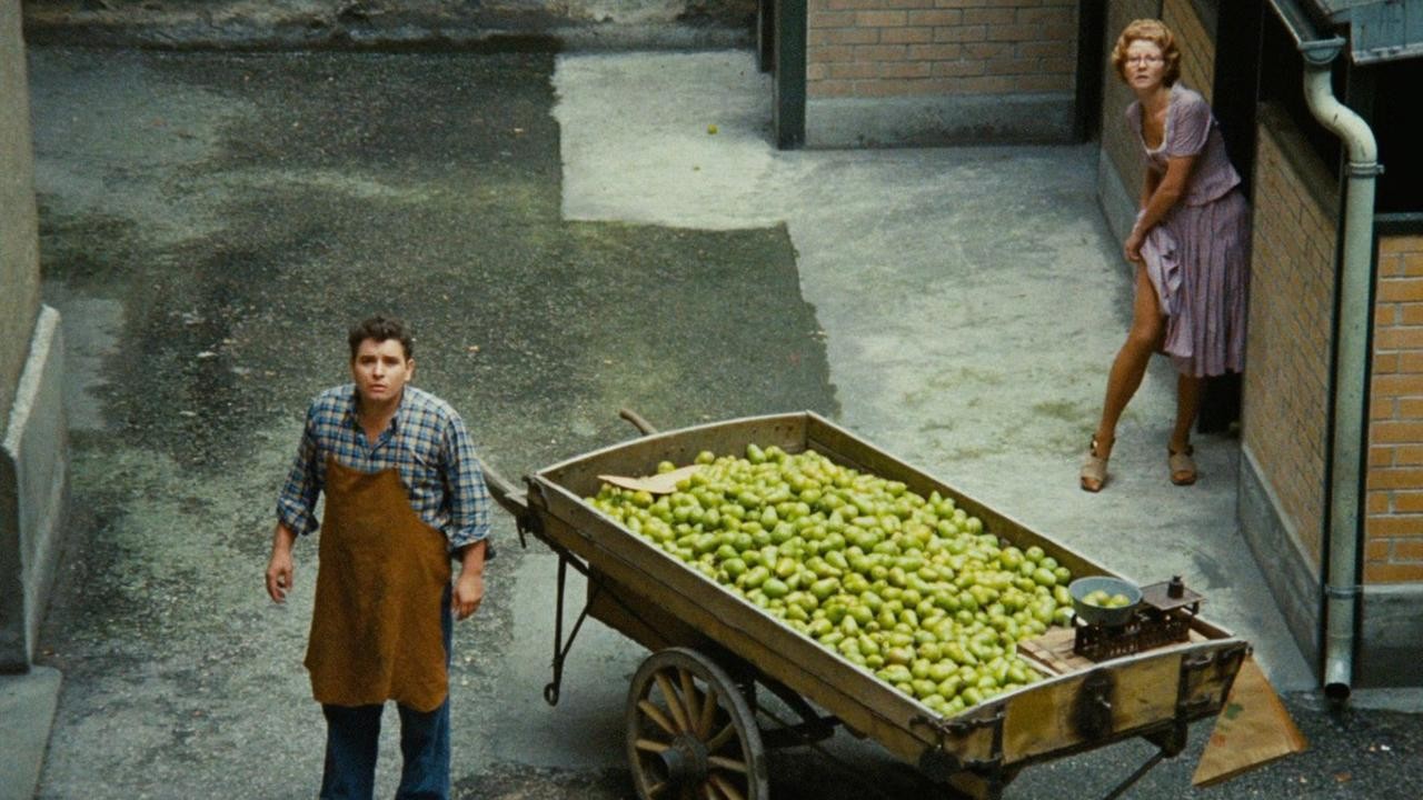 Image du film Le Marchand des quatre saisons