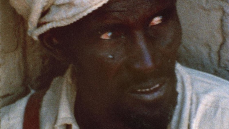 Les Révolutionnaires du Tchad