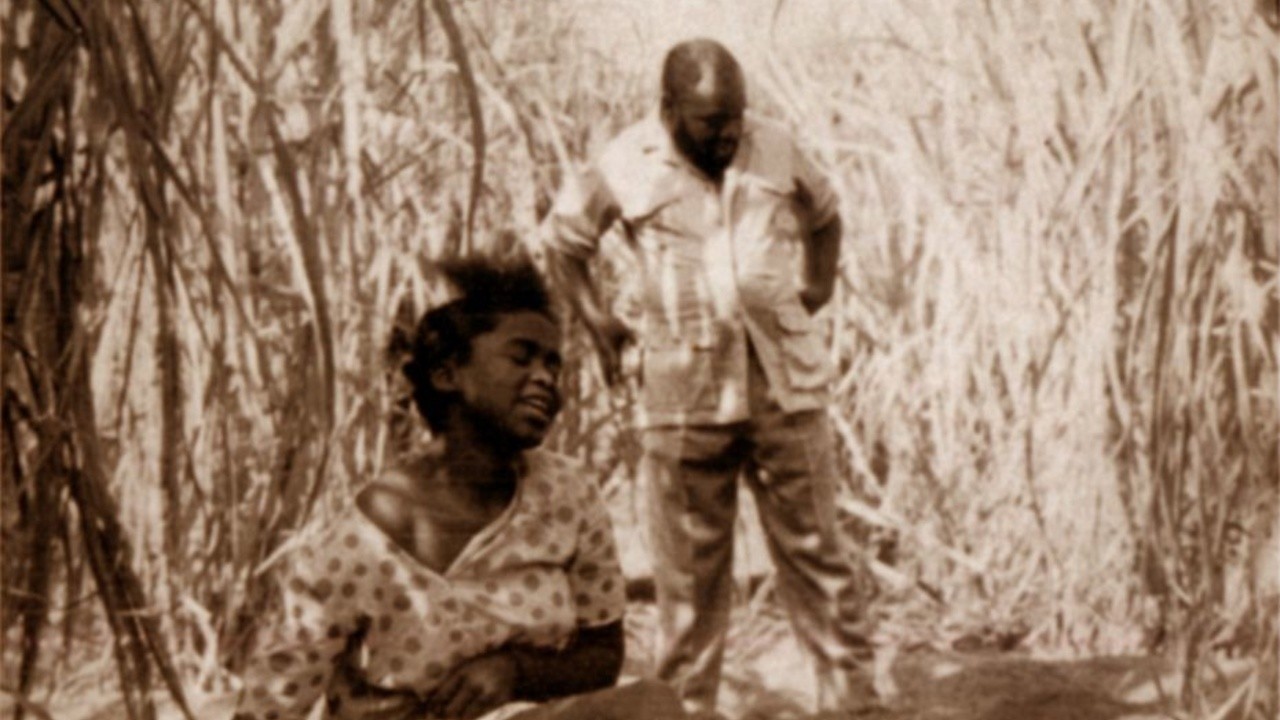 Image du film Laissez-moi au moins grimper aux palmiers