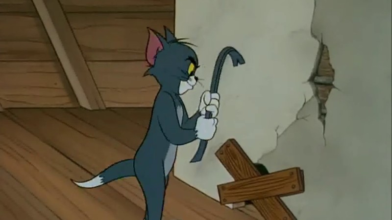 Shutter Bugged Cat