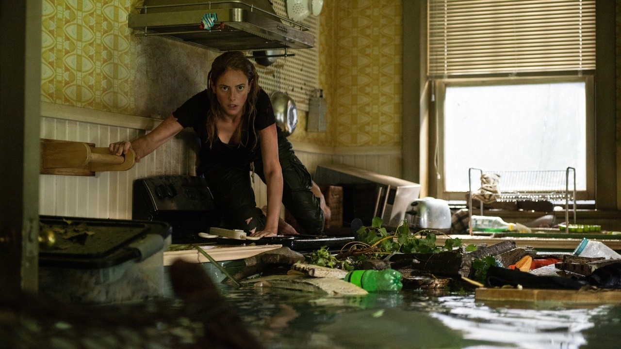 Predadores Assassinos