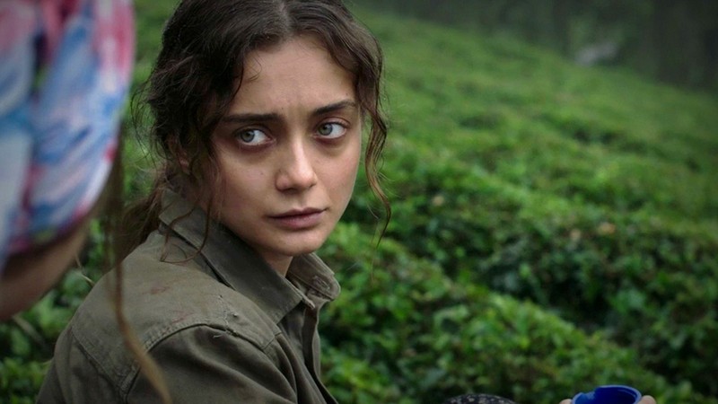 Sibel