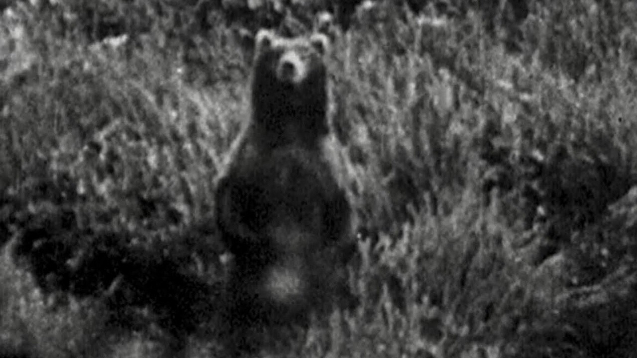 Image du film Poussières d'Amérique