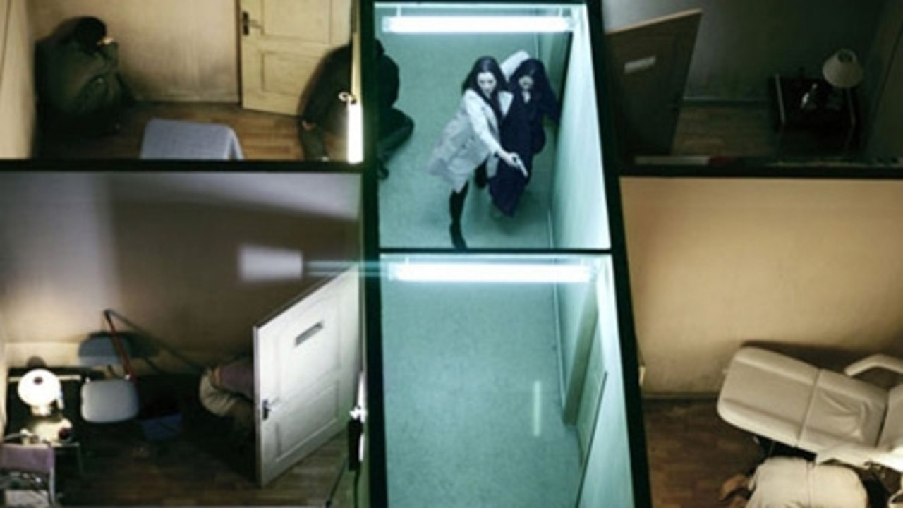 Human Zoo