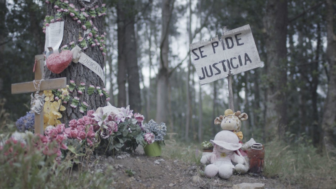 El caso Asunta (Operación Nenúfar)