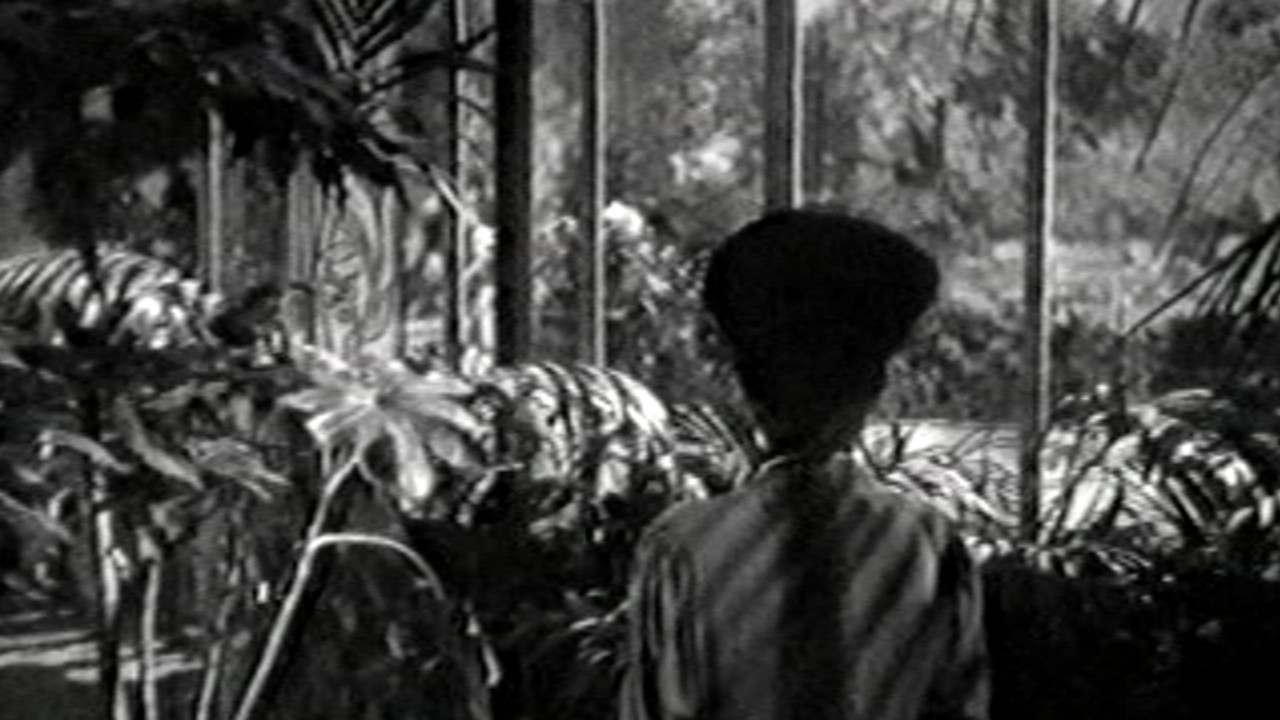 Image du film Le voyageur sans bagages