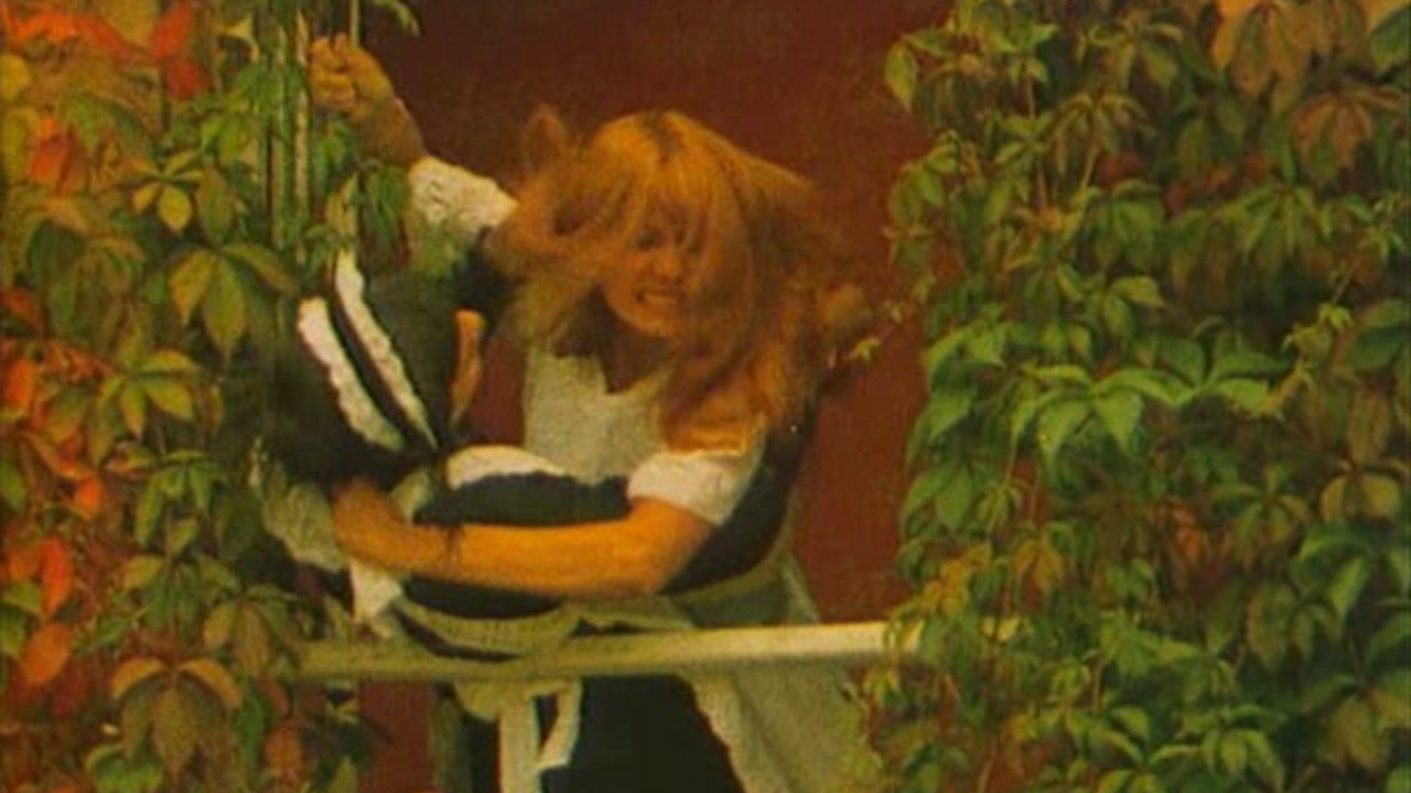 Image du film Camille ou la comédie catastrophique