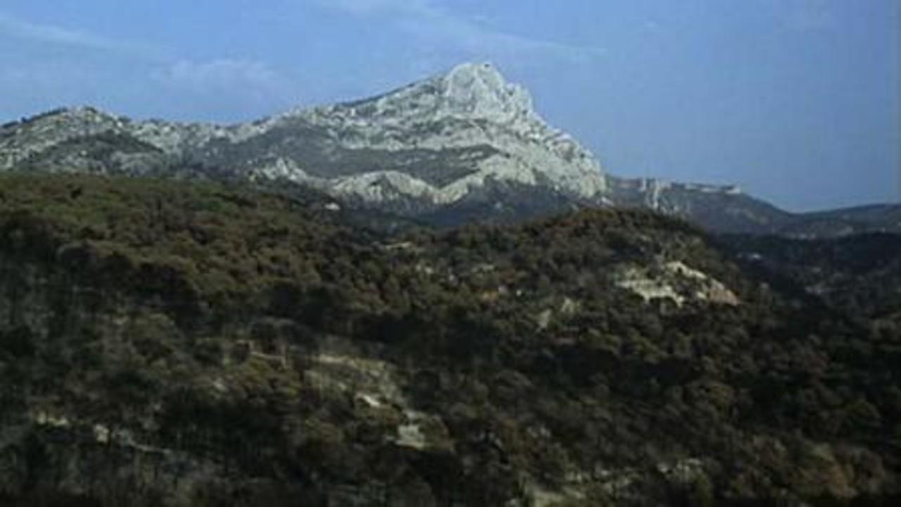 Image du film Cezanne