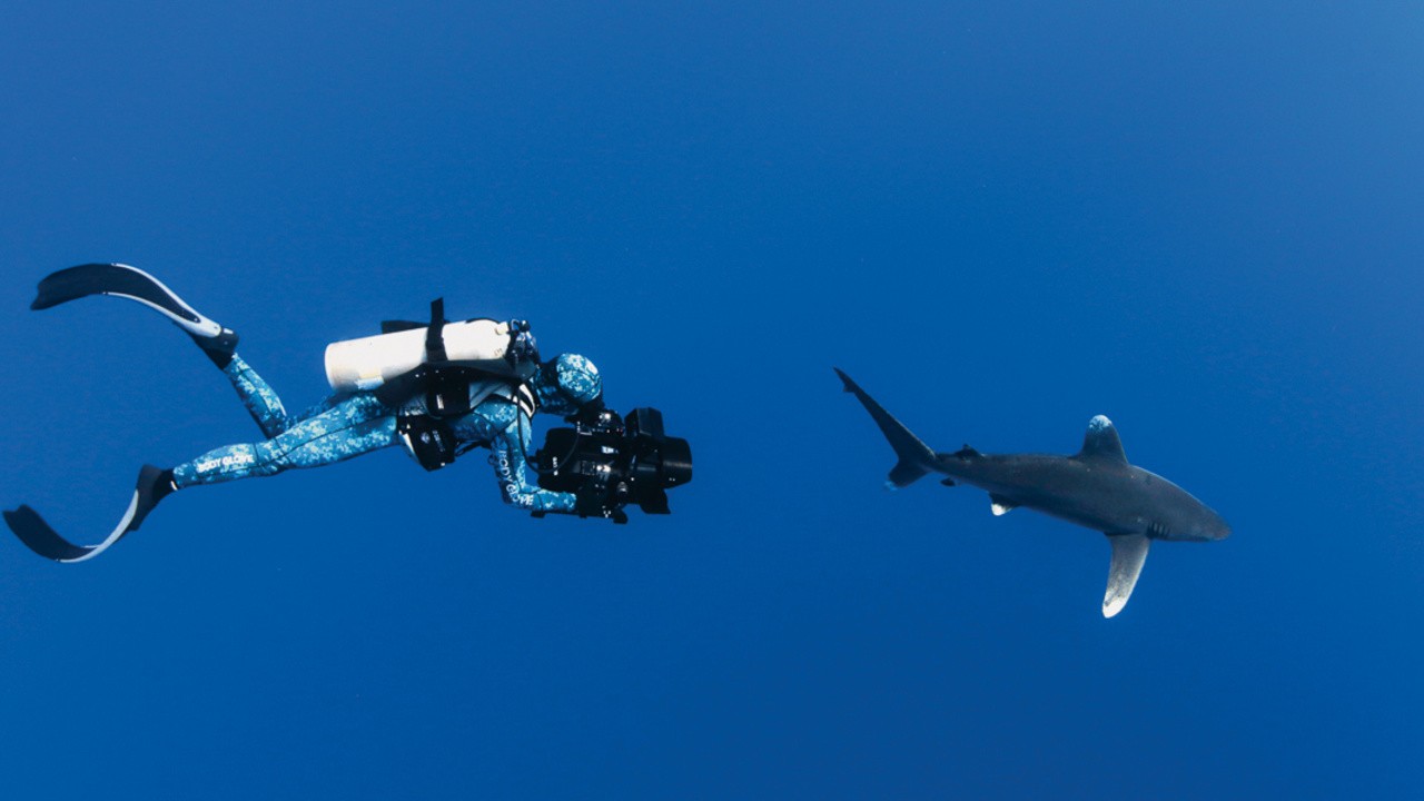 Sharkwater Extinction