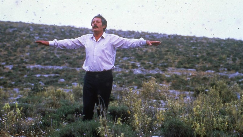 Arıcı