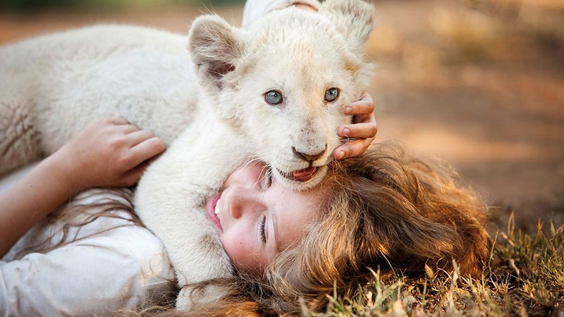 Mia und der weiße Löwe