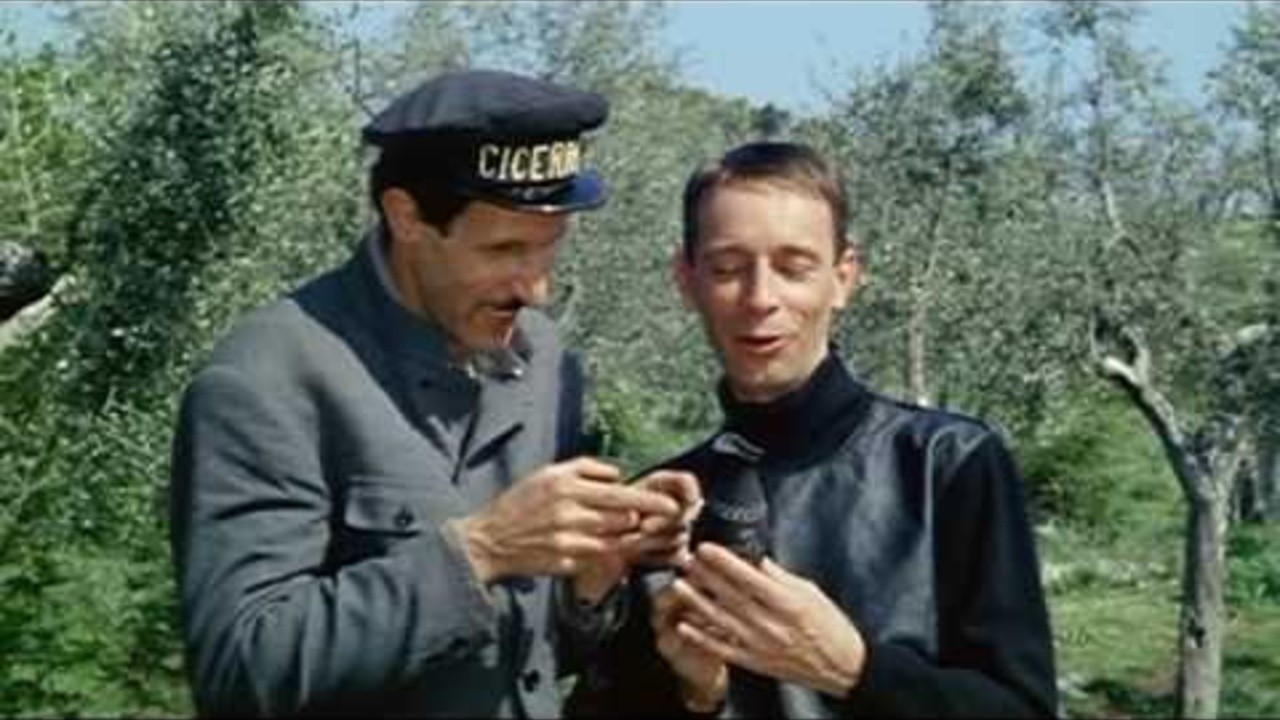 Tutto è musica