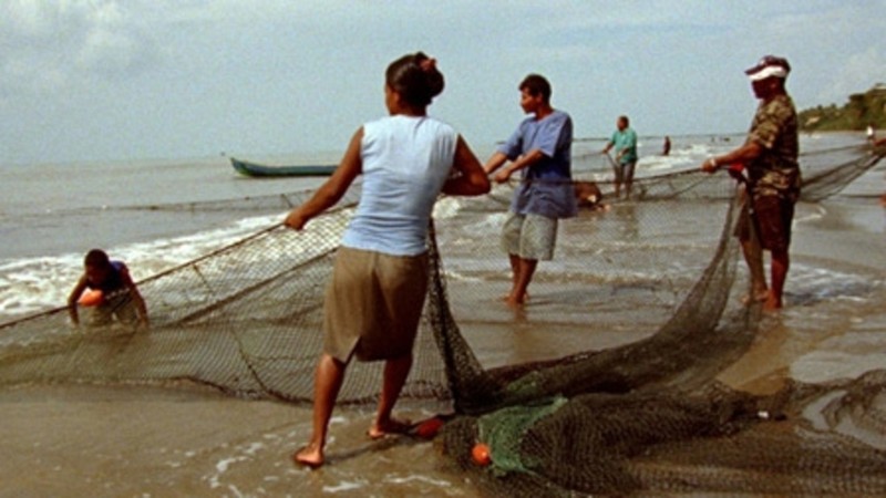 La sirena y el buzo