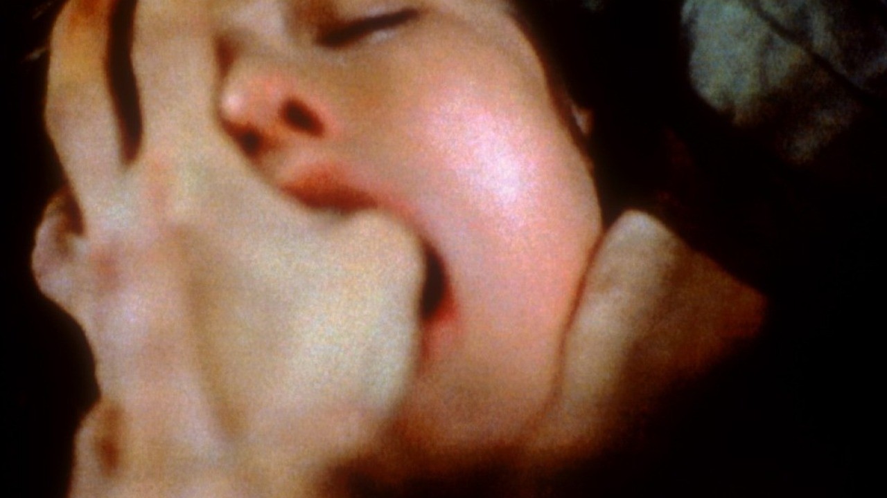 Image du film Sombre