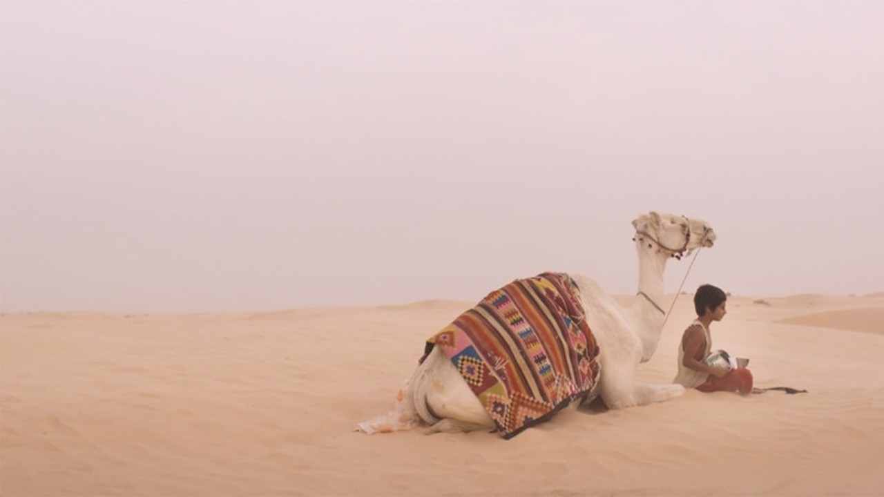 The Camel Boy