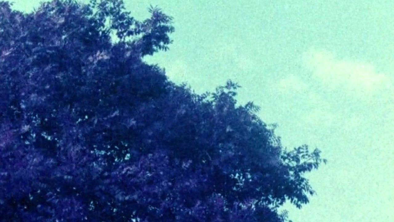 The Colour Out of Space