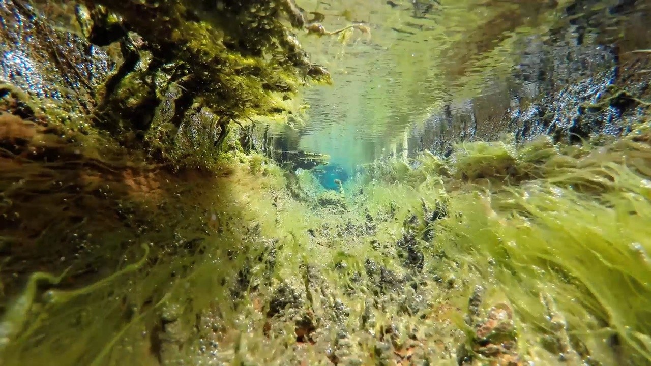The Stream VI
