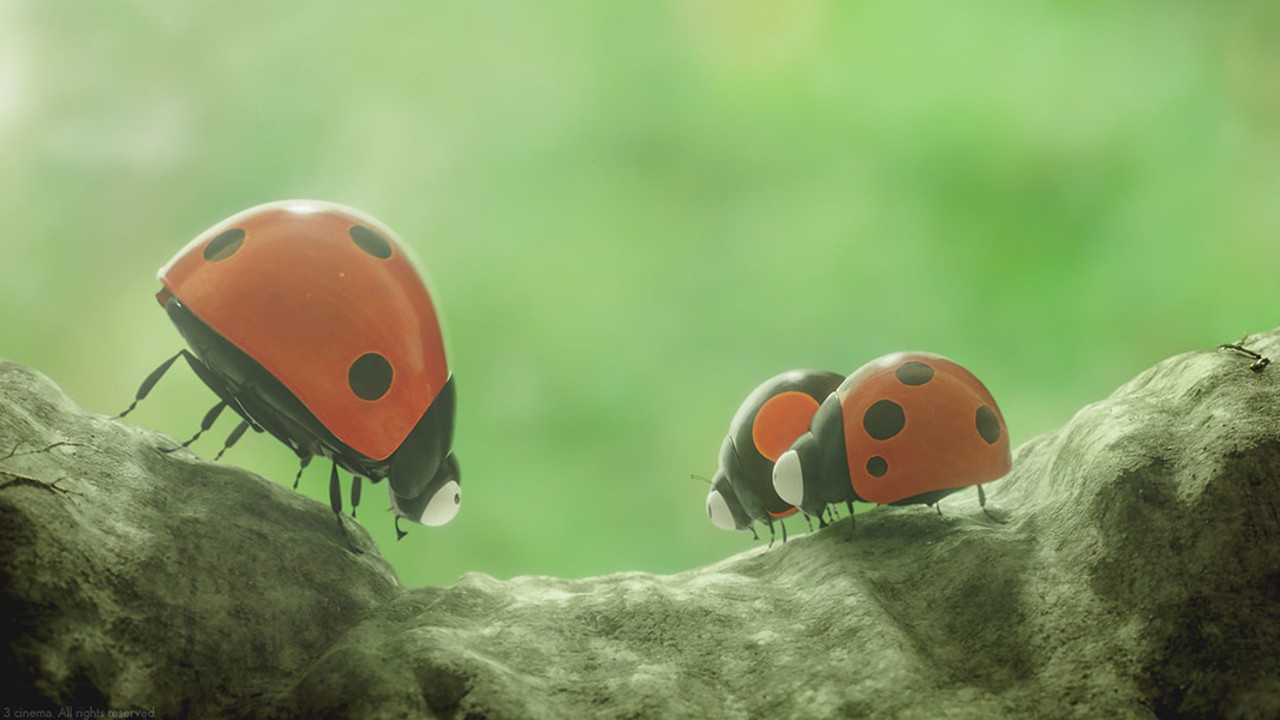 Image du film Minuscule 2 - Les Mandibules du Bout du Monde