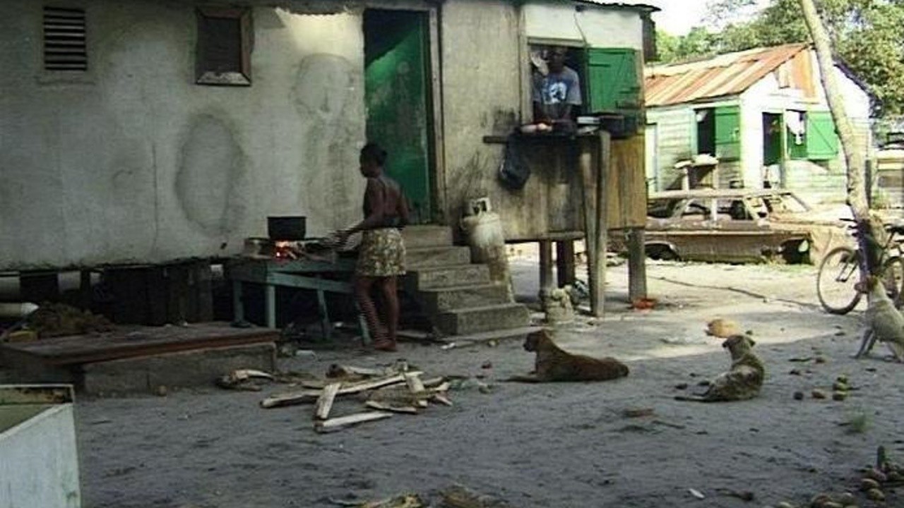 Different Drums (2005) MUBI