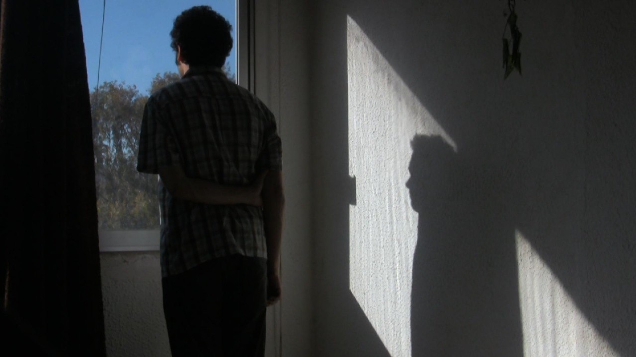 Ask Your Shadow