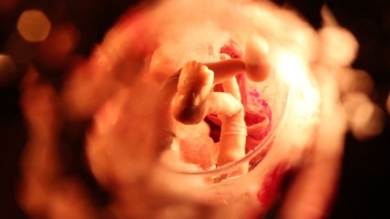 Inside the Womb