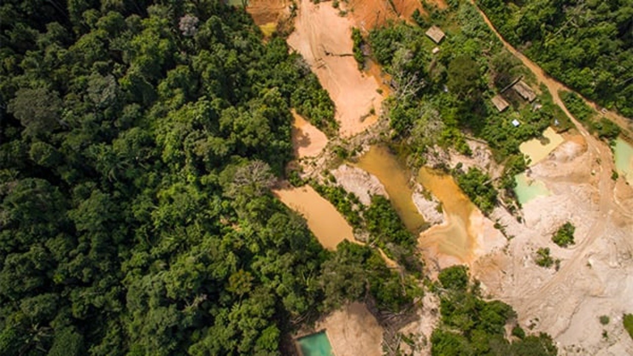 Amazonia Dammed