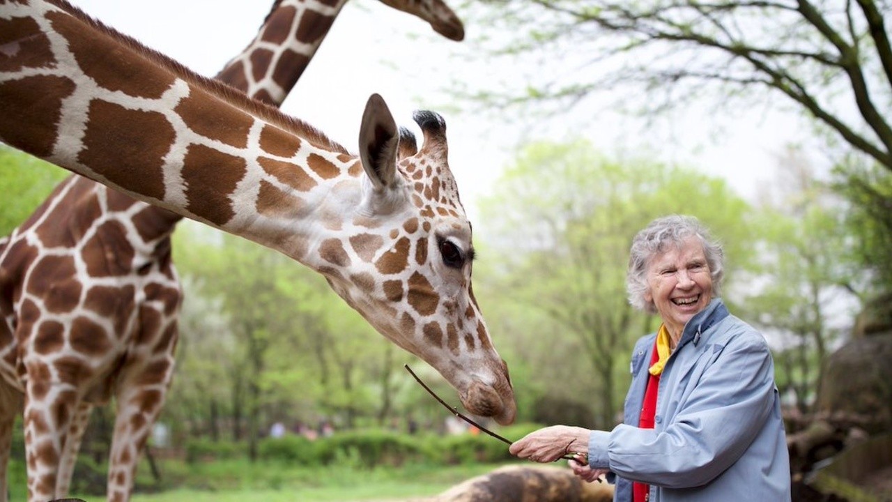 The Woman Who Loves Giraffes