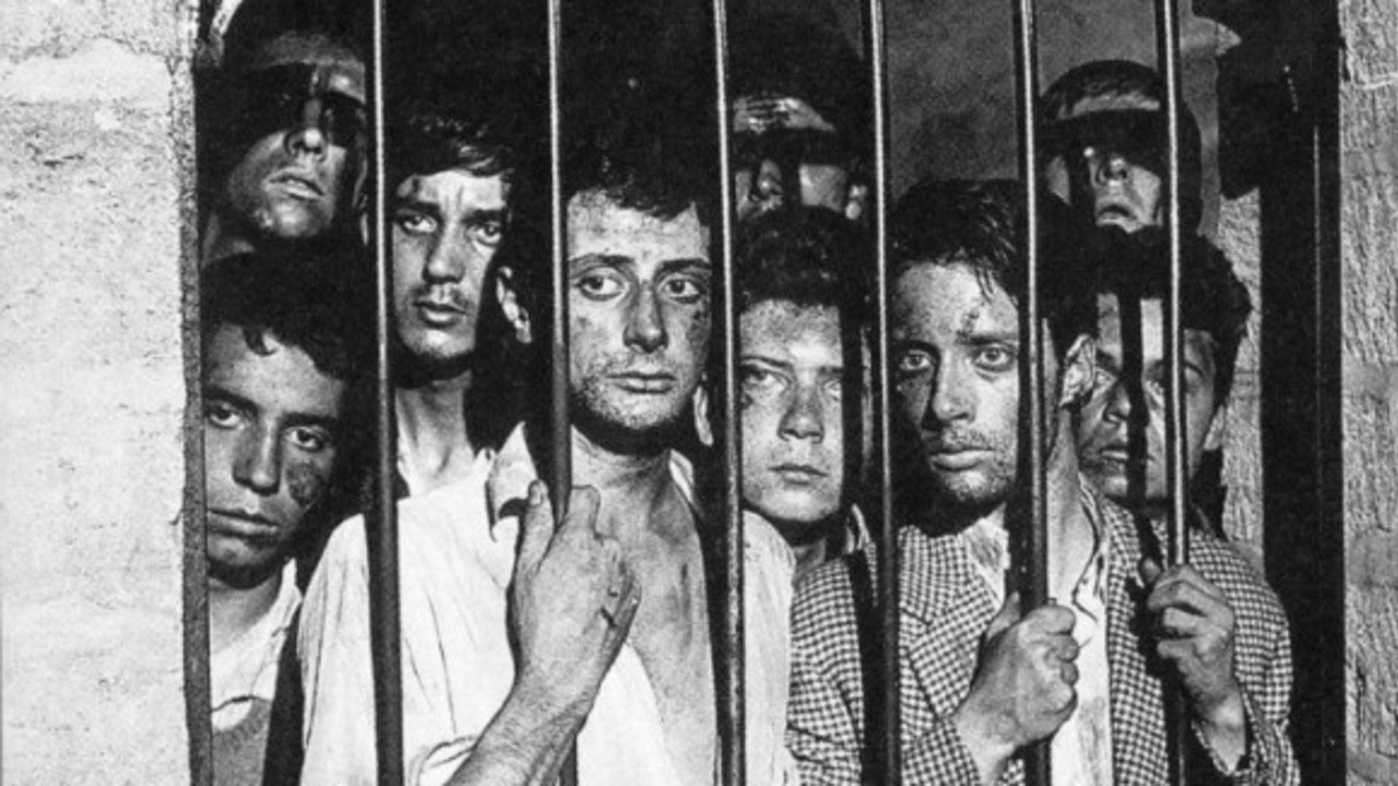 Image du film La verte moisson