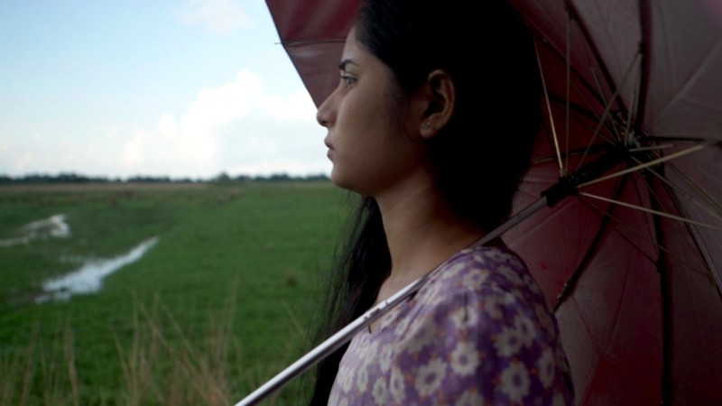 Bulbul Can Sing